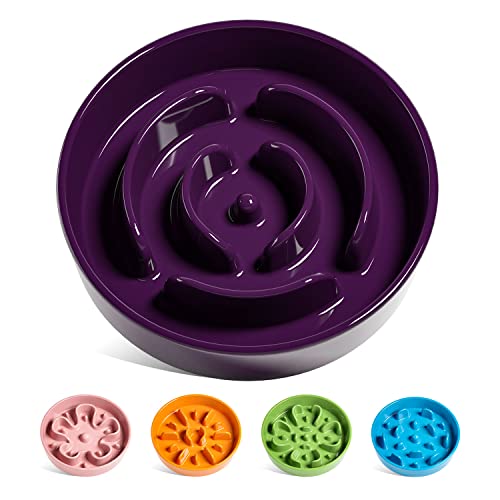 TAUCI Ceramic Feeder Puzzle Feeders