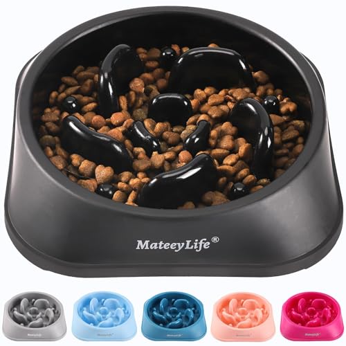 MateeyLife Slow Feeder Anti Choking Interactive