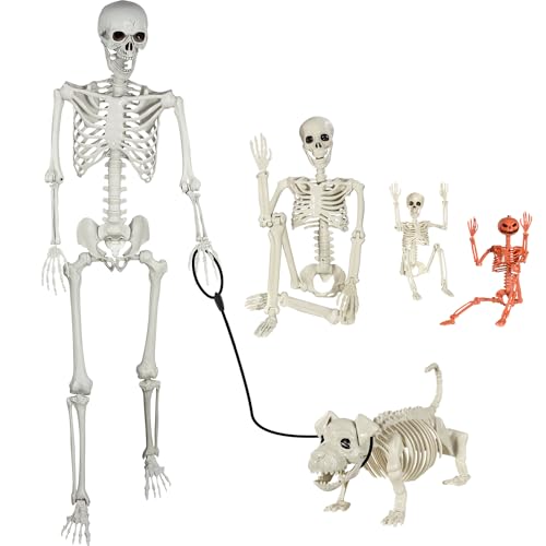 Halloween Skeleton Skeletons Decorations Supplies