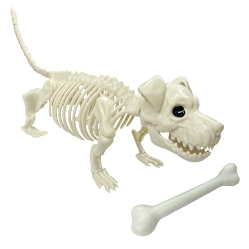 Lodou Halloween Decoration Skeleton Dog