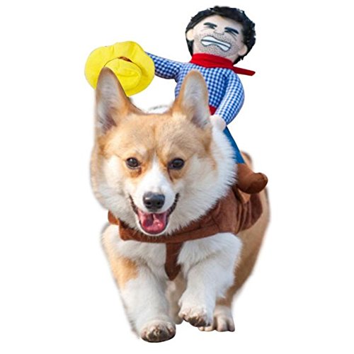 Deluxe Cowboy Rider Pet Costume